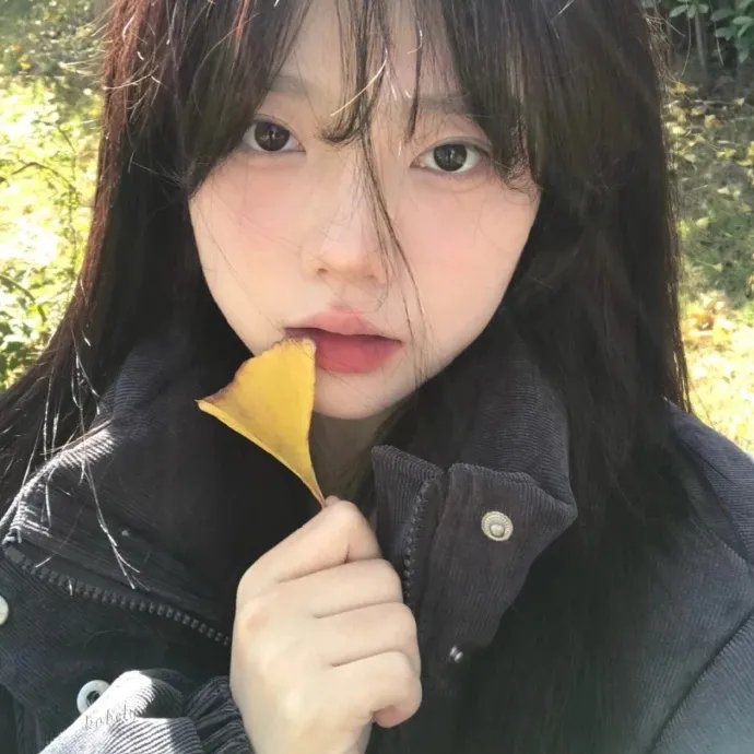 睡觉的笨蛋